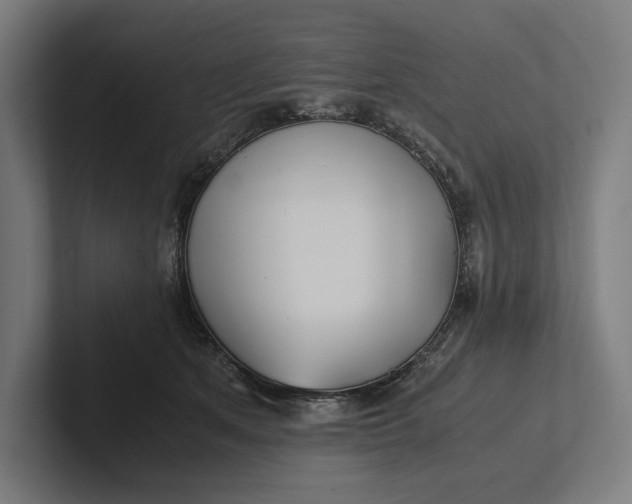 X0000101990513200808011104