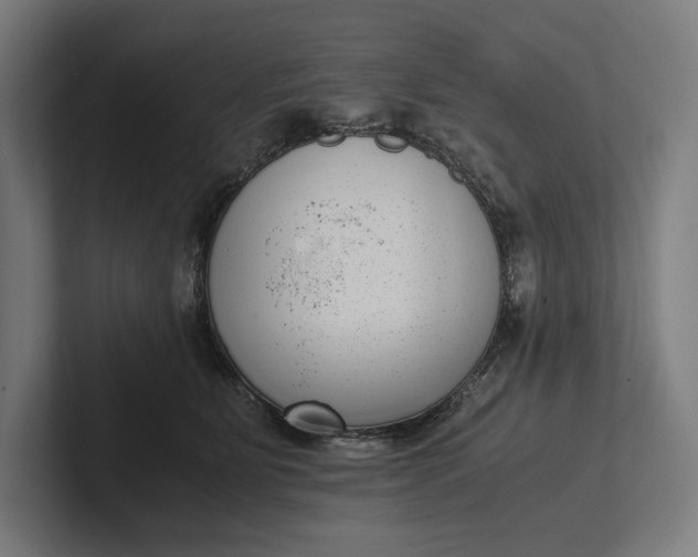 X0000101990515200808011104