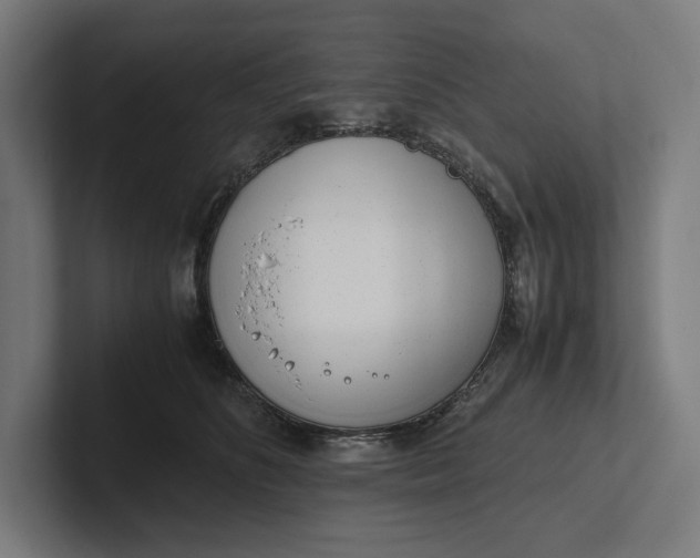 X0000101990516200808011104