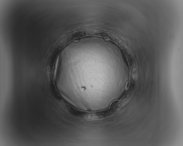 X0000101990519200808011104