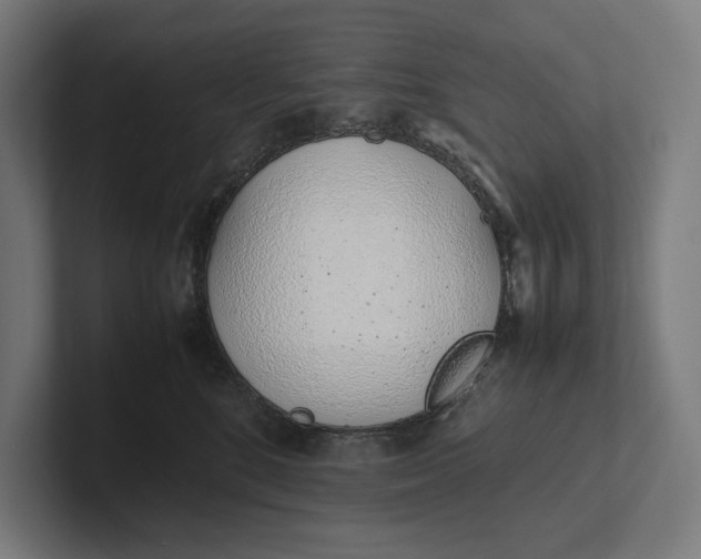 X0000101990520200808011104