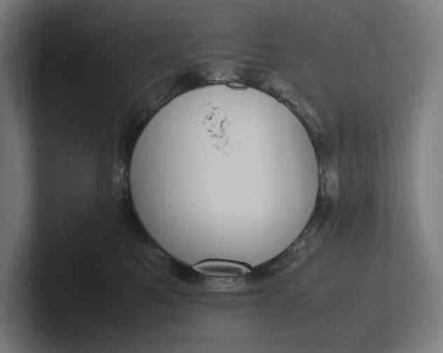 X0000101990521200808011104