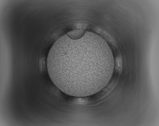 X0000101990522200808011104