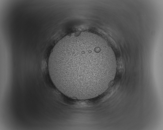 X0000101990523200808011104