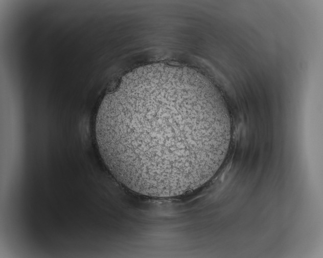 X0000101990524200808011104