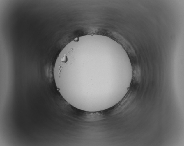 X0000101990525200808011104