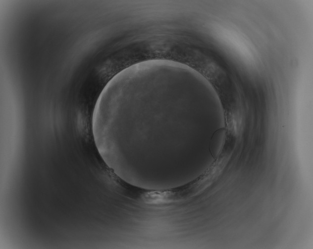 X0000101990526200808011104