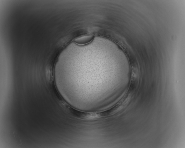 X0000101990527200808011104