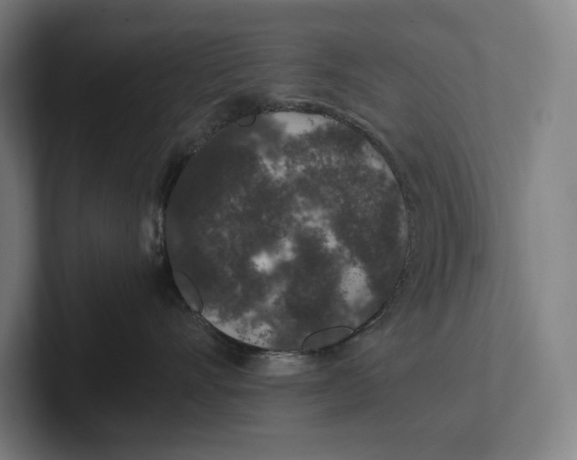 X0000101990528200808011103