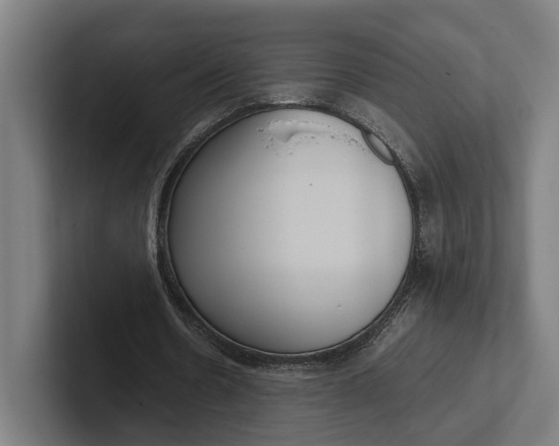 X0000101990530200808011103