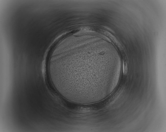 X0000101990531200808011103