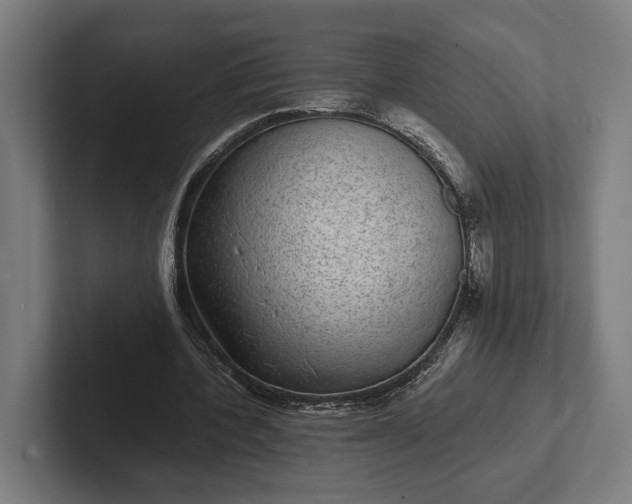 X0000101990532200808011103