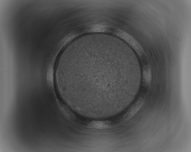 X0000101990534200808011103