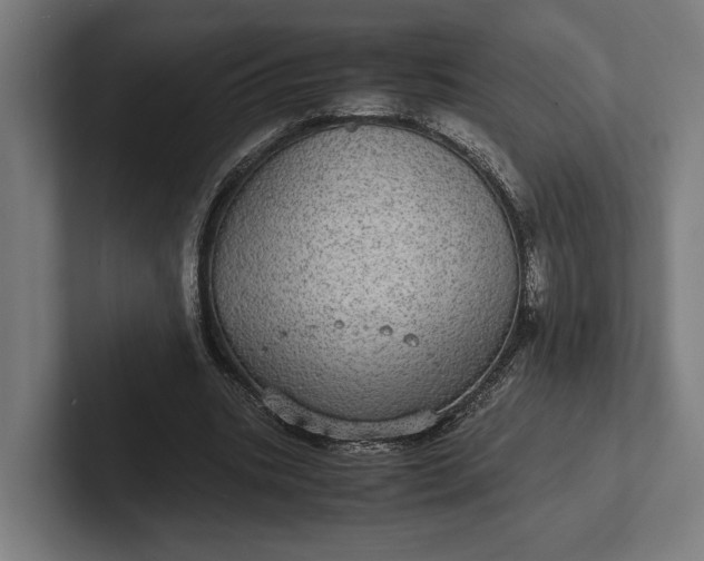 X0000101990535200808011103