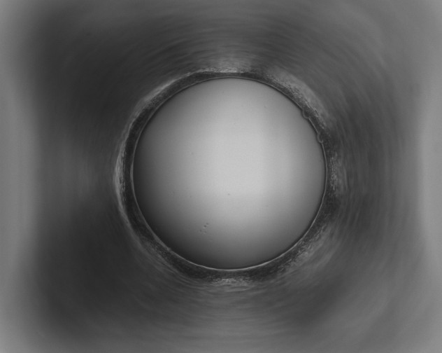 X0000101990536200808011103