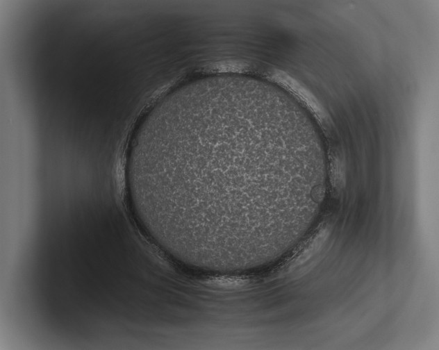 X0000101990537200808011103