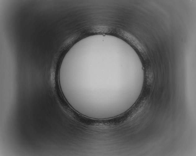 X0000101990538200808011103