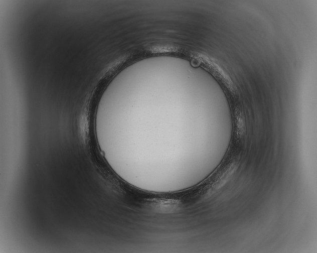 X0000101990539200808011103