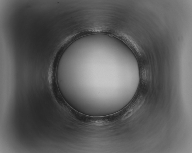 X0000101990540200808011103