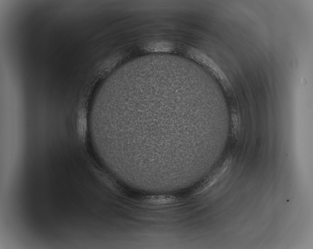 X0000101990541200808011103