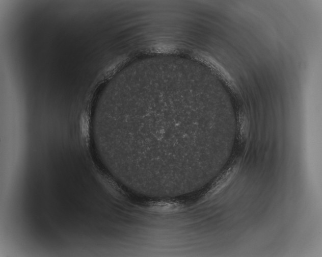 X0000101990542200808011103