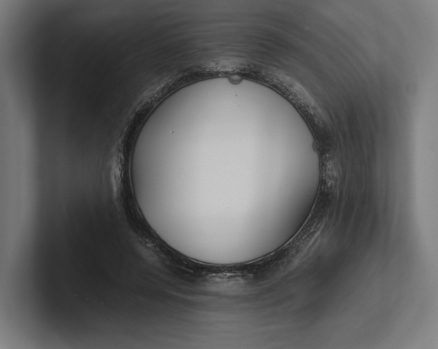 X0000101990544200808011103