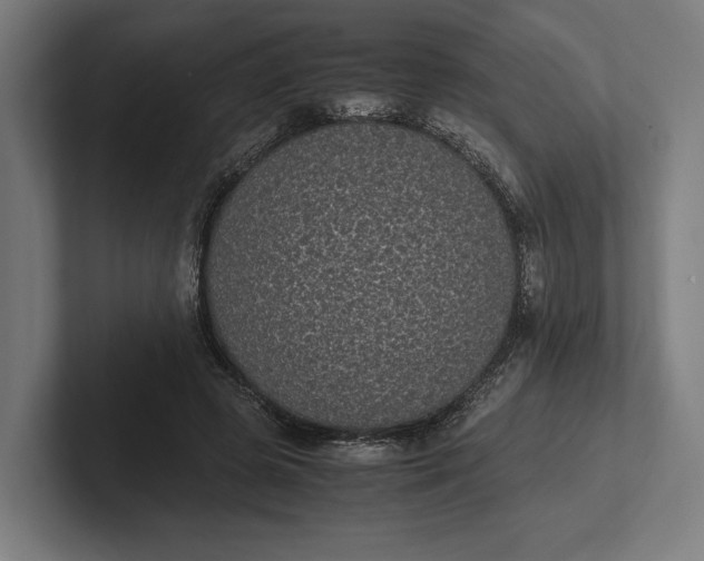 X0000101990545200808011103