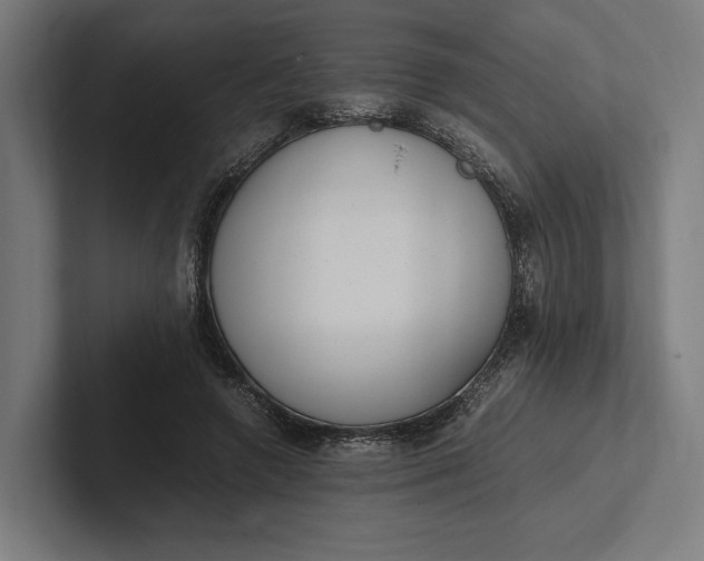 X0000101990546200808011103