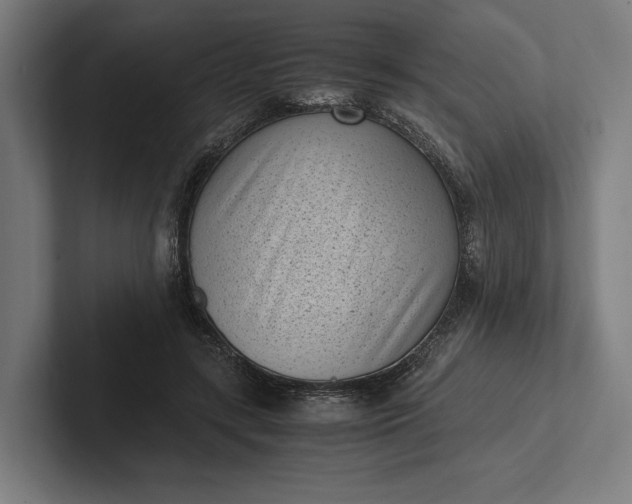 X0000101990547200808011103