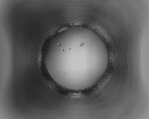 X0000101990548200808011103