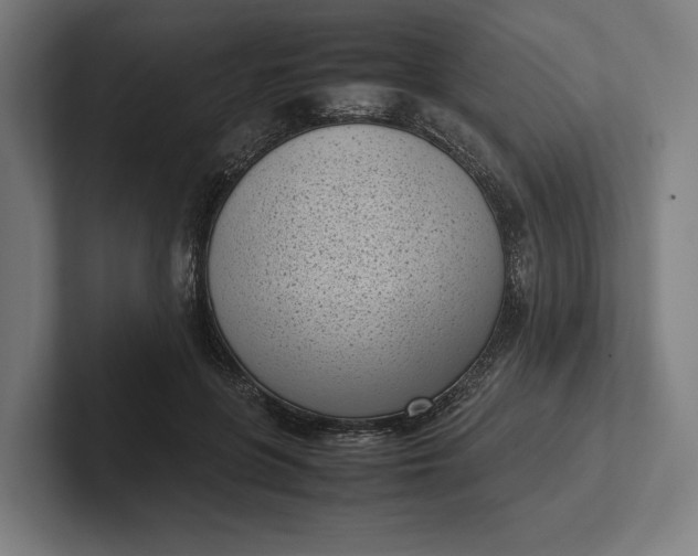 X0000101990551200808011103