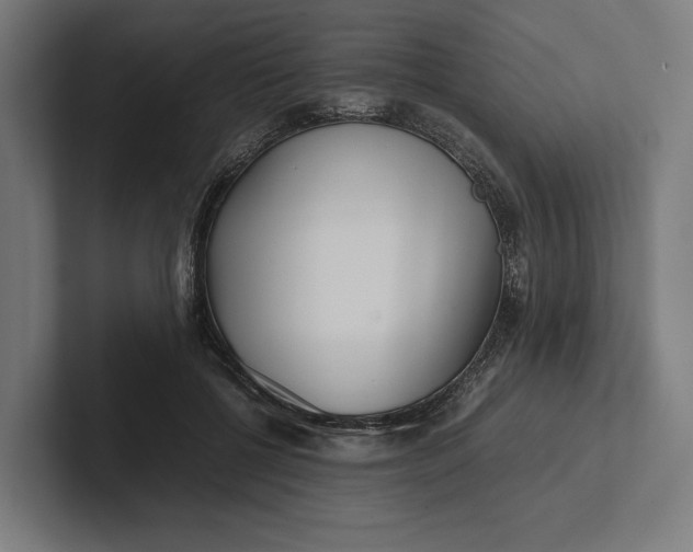 X0000101990552200808011103