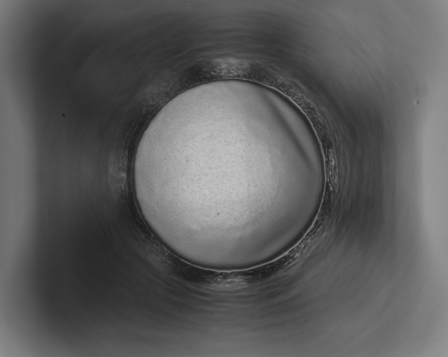 X0000101990553200808011103