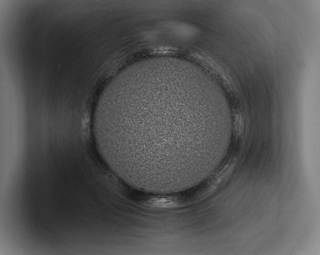 X0000101990557200808011103