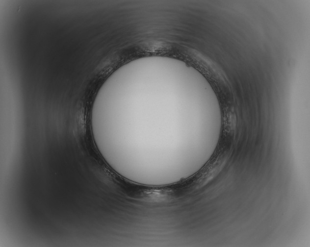 X0000101990558200808011103