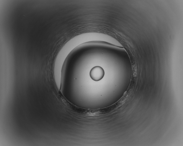 X0000101990560200808011103