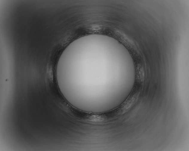 X0000101990562200808011103