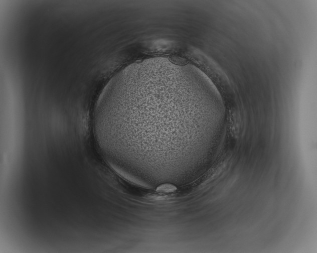 X0000101990563200808011103