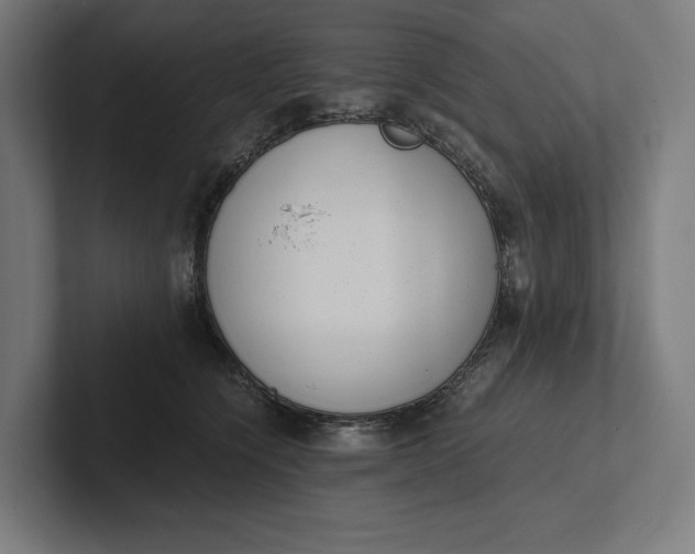 X0000101990564200808011103