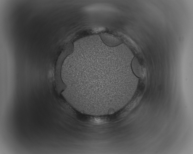 X0000101990565200808011103