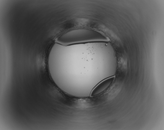 X0000101990566200808011103