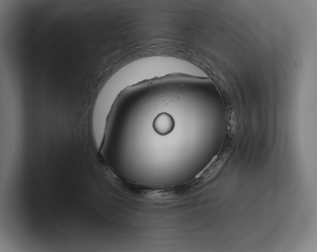 X0000101990568200808011103