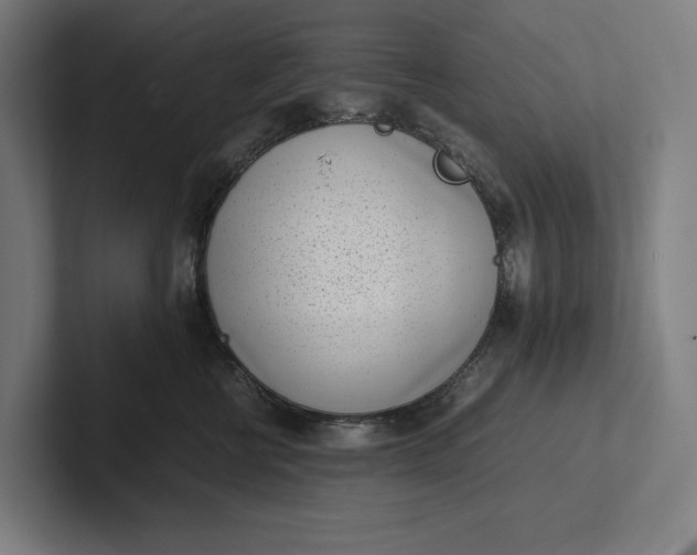 X0000101990570200808011103