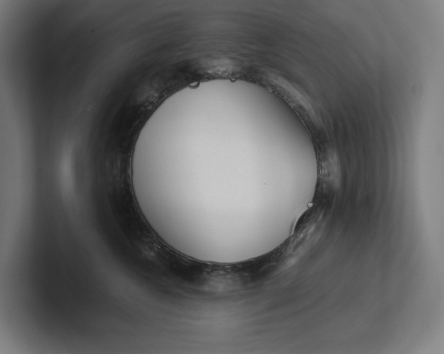 X0000101990572200808011103