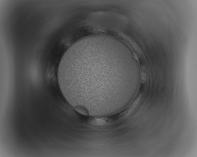 X0000101990573200808011103