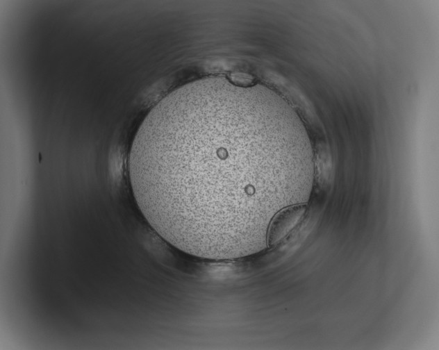 X0000101990574200808011103