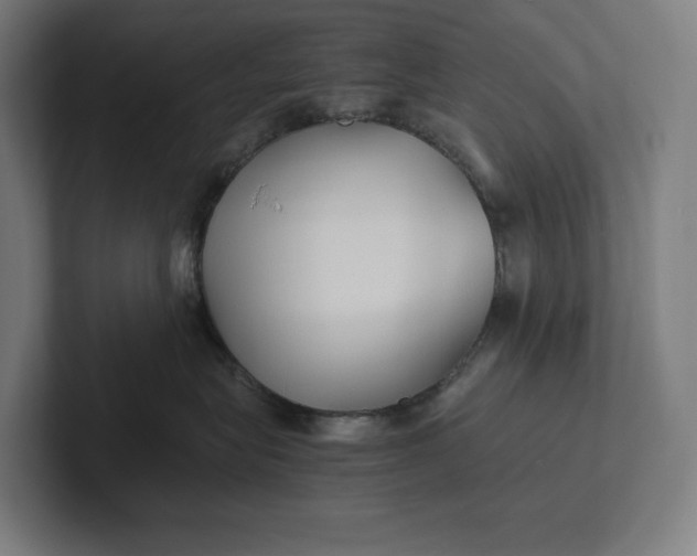 X0000101990575200808011103