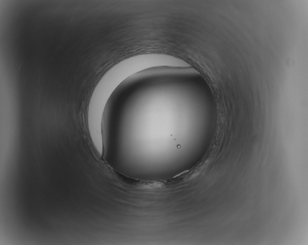 X0000101990576200808011103