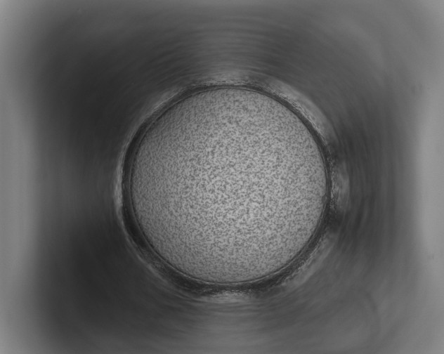 X0000101990578200808011103