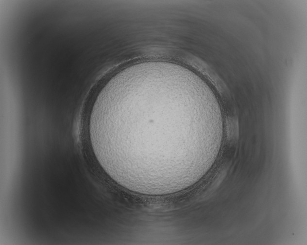 X0000101990579200808011103